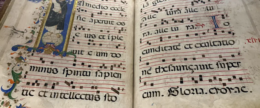 codice miniato
