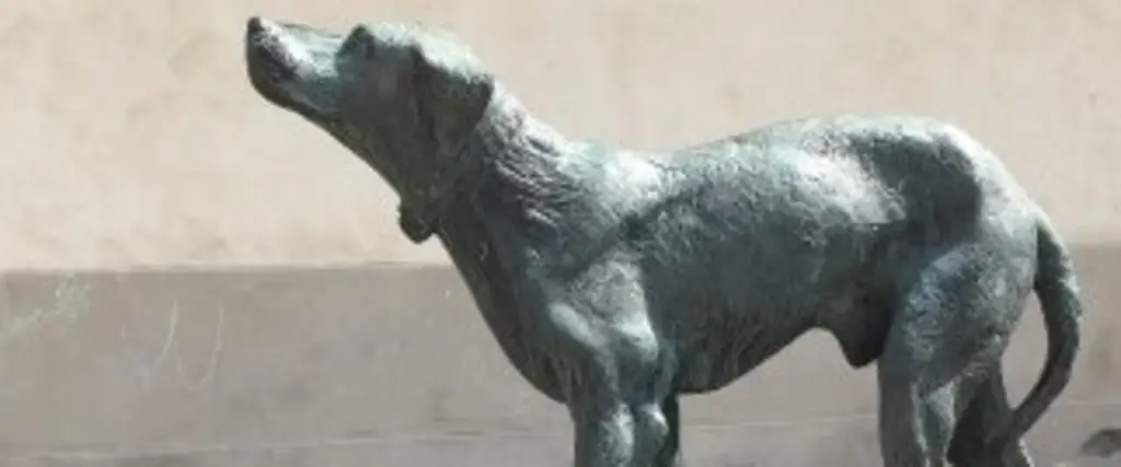 Monumento al Cane Fido - Borgo San Lorenzo