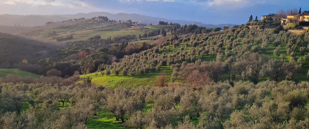 Impruneta veduta della campagna