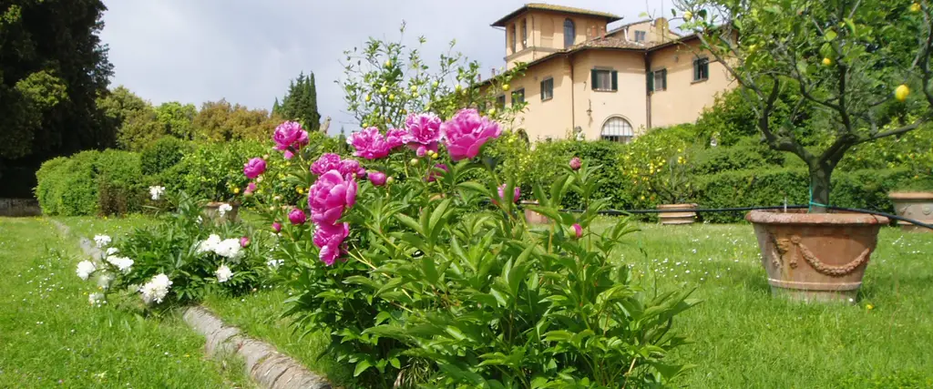 Scorcio di Villa Meleto dal giardino