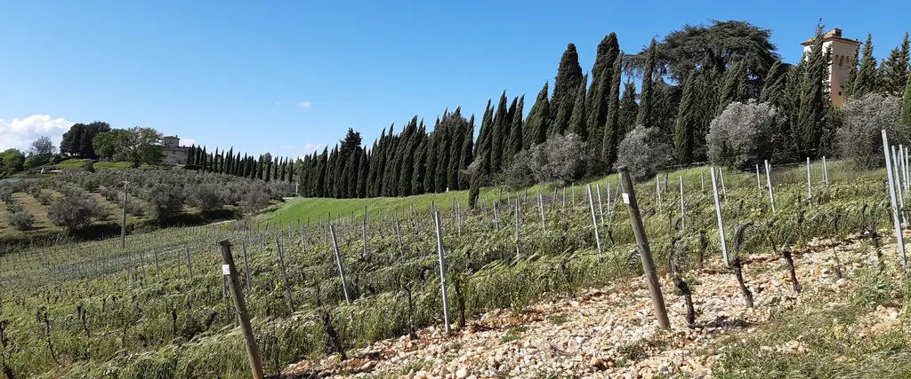 Campagna intorno a Babrerino Tavarnelle