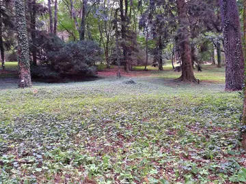 Arboreti Sperimentali di Vallombrosa 