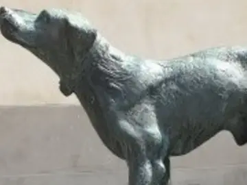Monumento al Cane Fido - Borgo San Lorenzo