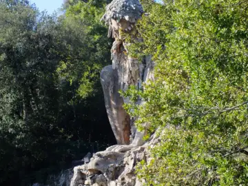 Il Gigante