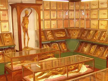 La Specola