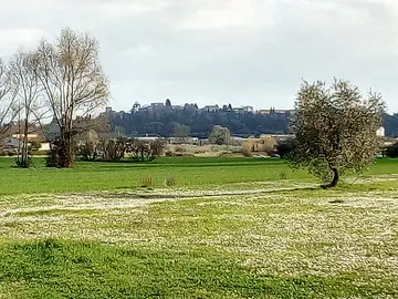 Travalle
