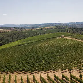Le colline di Lastra a Signa