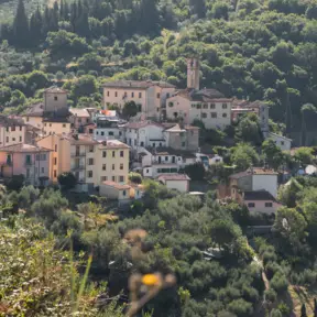 Panorama di Pelago