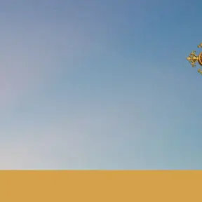 Cupolette della chiesa russa