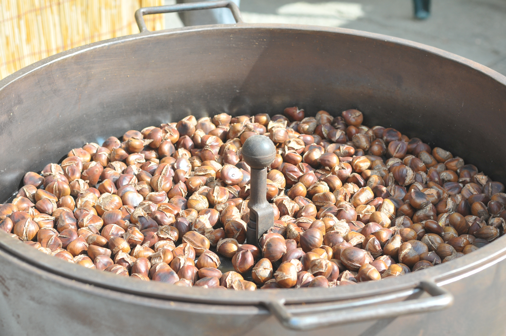 Mostra mercato del Marron Buono di Marradi