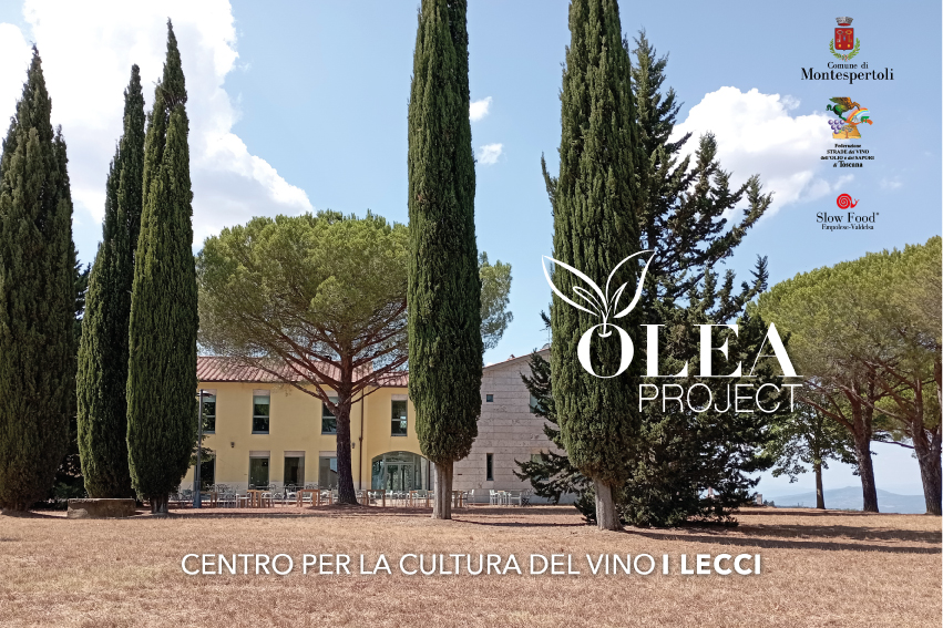 Olea - forum dell'olio EVO a Montespertoli