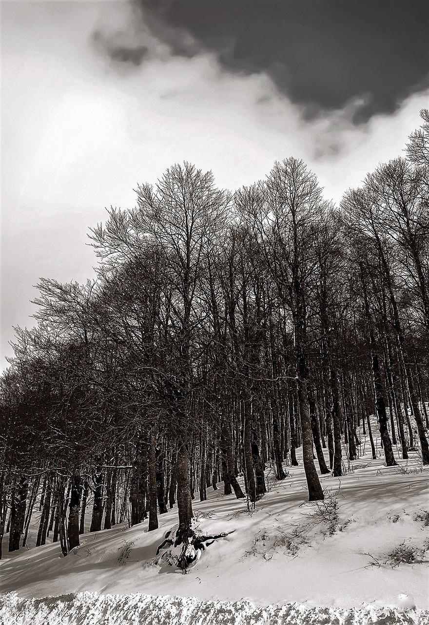 Storia di un inverno che non voleva finire | Teatro Comunale Garibaldi Figline Valdarno